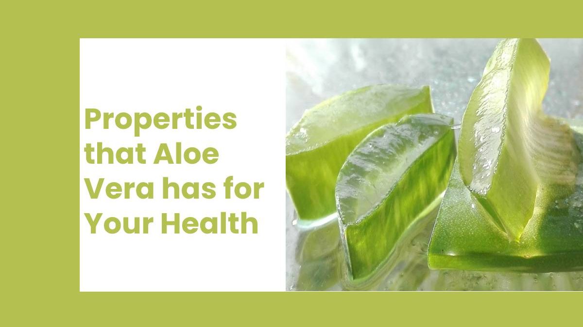 Properties that Aloe Vera has for Your Health [2020]