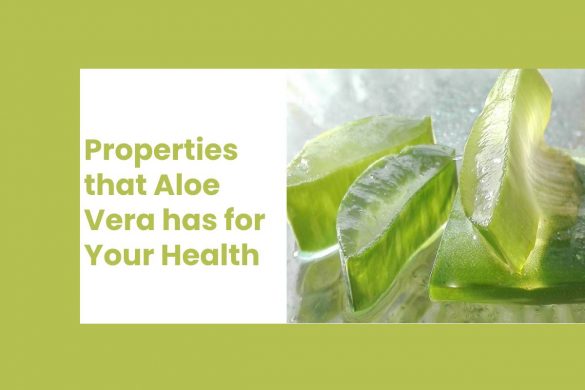Properties that Aloe Vera has for Your Health