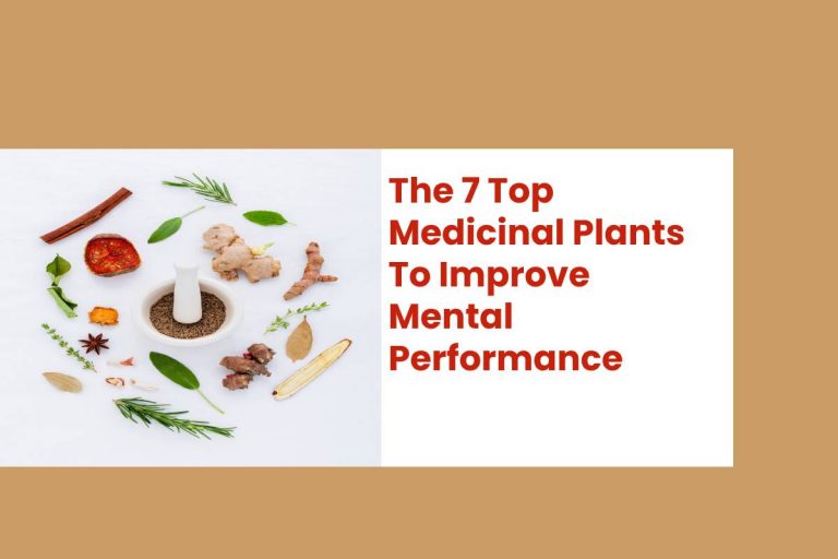 The 7 Top Medicinal Plants To Improve Mental Performance
