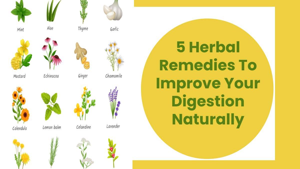5 Herbal Remedies To Improve Your Digestion Naturally