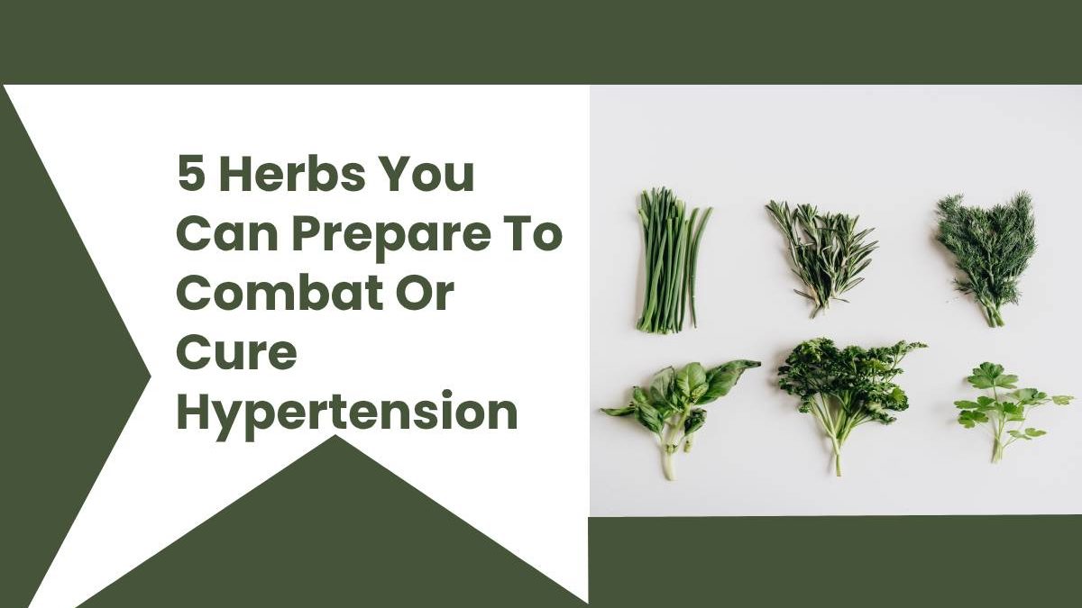 Herbs You Can Prepare To Combat Or Cure Hypertension [2020]