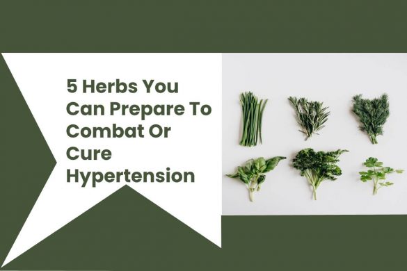 5 Herbs You Can Prepare To Combat Or Cure Hypertension