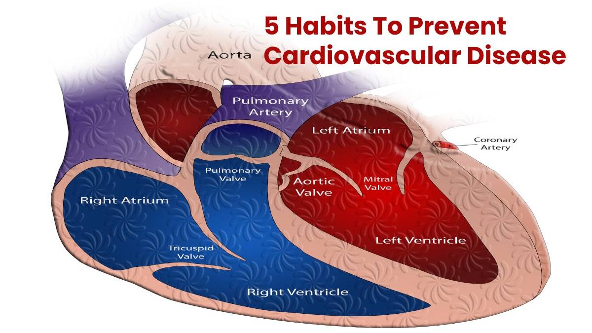 5 Habits To Prevent Cardiovascular Disease