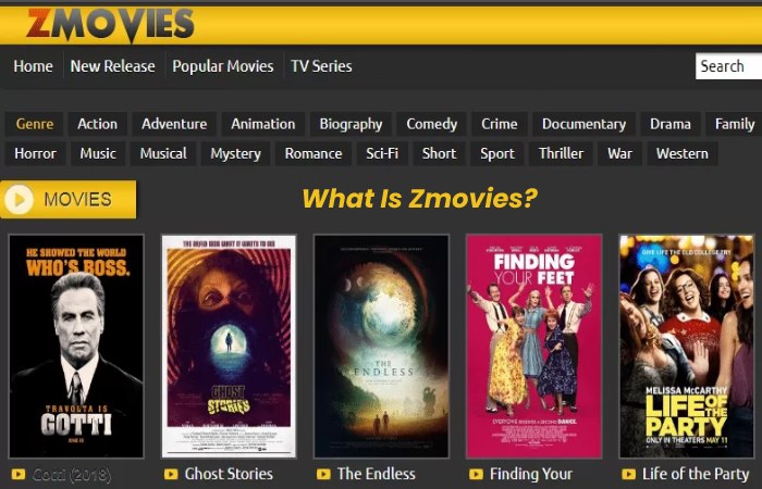 What Is Zmovies