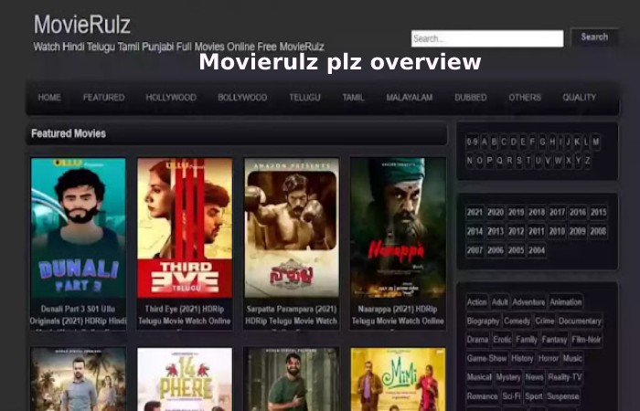 Movierulz plz overview