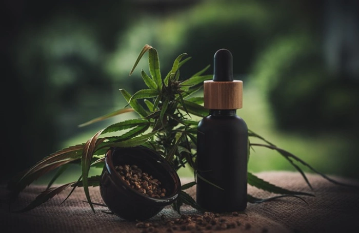 CBD Oil and Anosmia