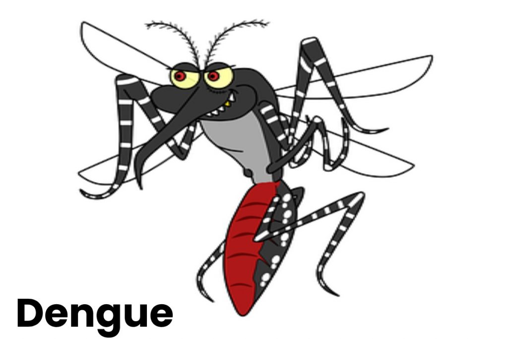 Dengue Write For Us