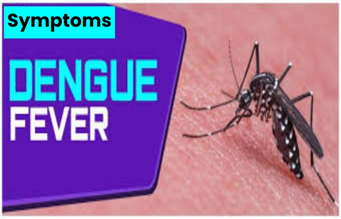 Dengue Write For Us