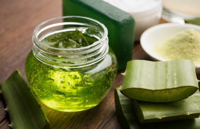 Aloe Vera Write for Us