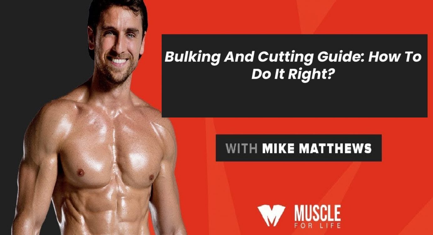 bulking and cutting guide