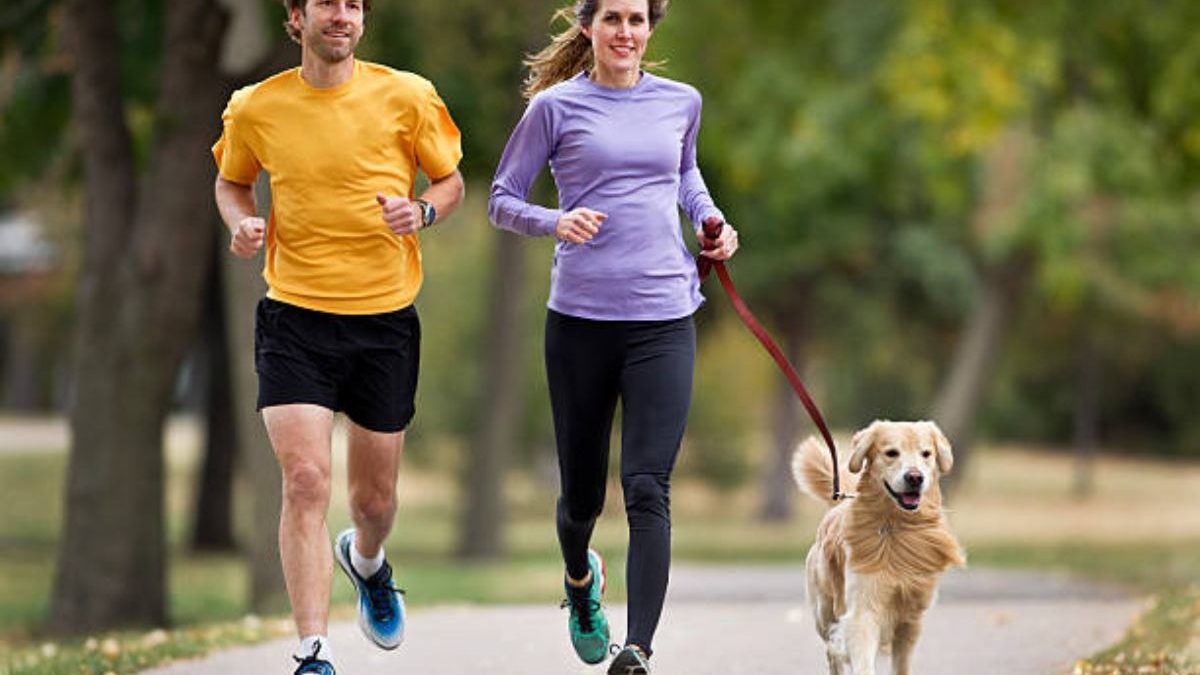 The Dos And Don’ts Of Running With Your Dog