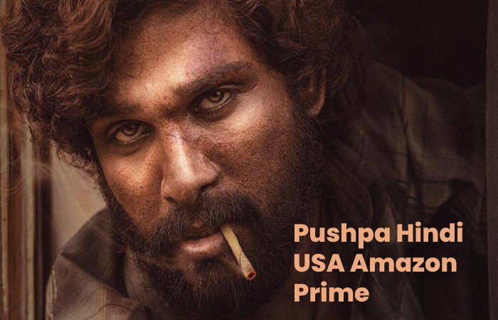 Pushpa Hindi USA Amazon Prime (1)