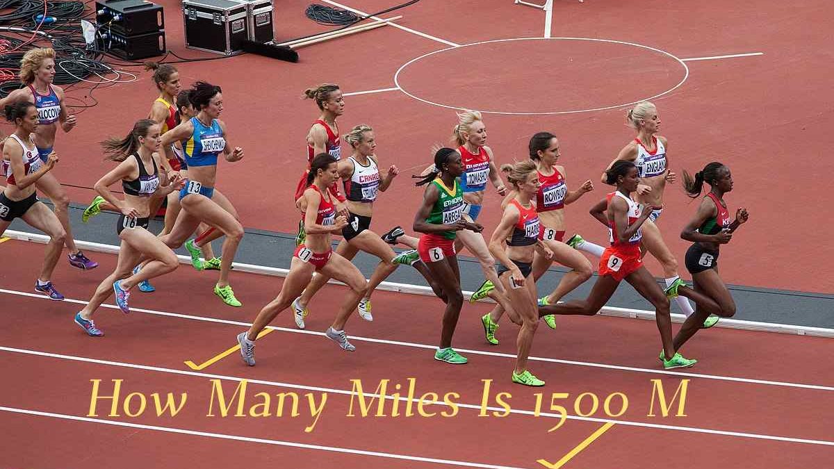 How Many Miles Is 1500 M – [2022]