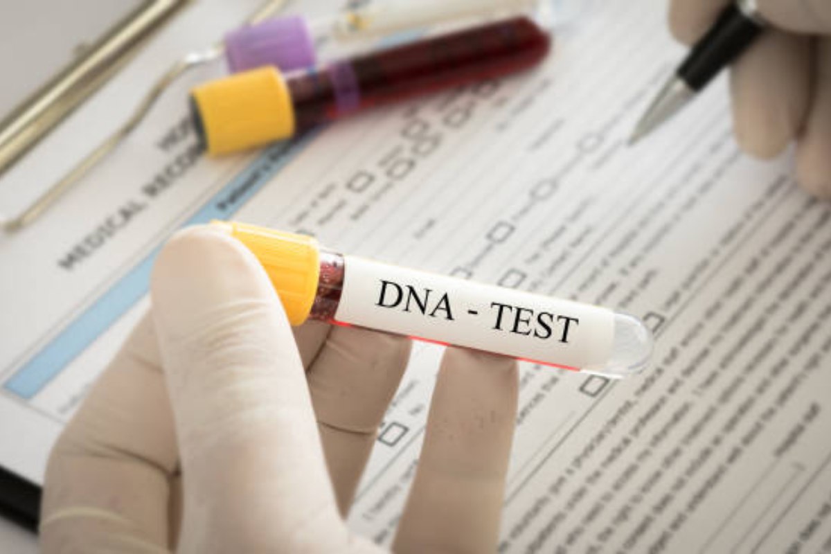 https://www.health4fitnessblog.com/legal-vs-at-home-paternity-test-whats-the-difference/