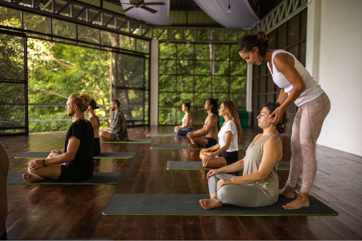 How to a Yoga Teacher A Guide to Gaining Certification