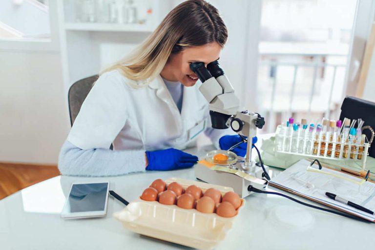 Chick-fil-A Chicken Antibiotics Policy Update