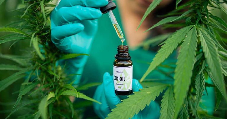 CBD’s Future In The European Cosmetics Industry