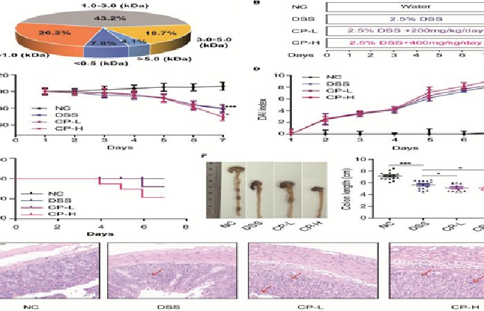 Collagen