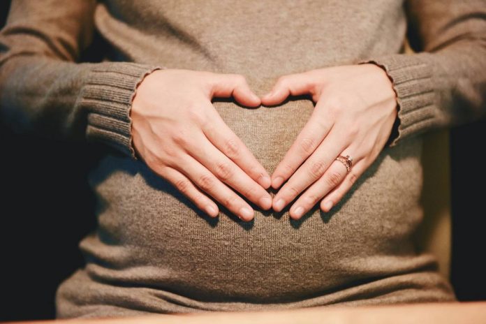 Maternity Insurance
