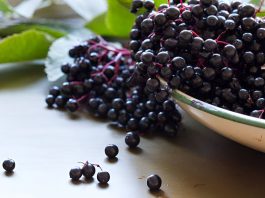 Heartland Elderberry Farms